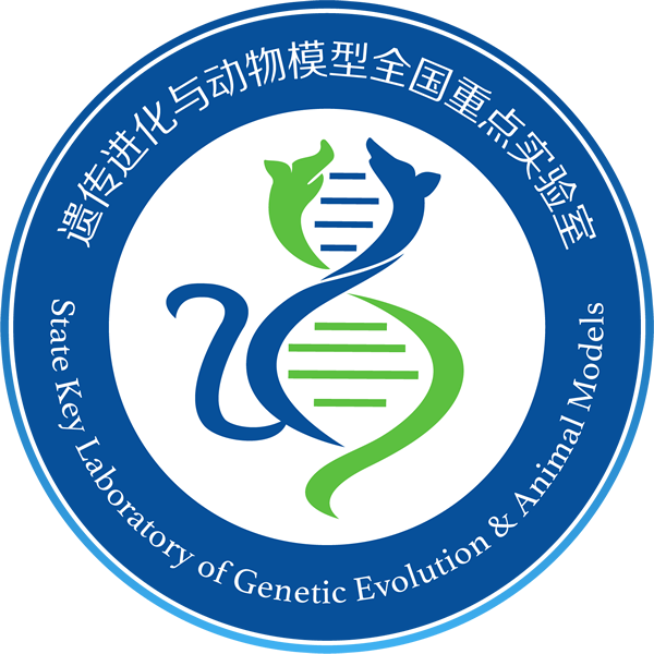 电子游戏app下载安装