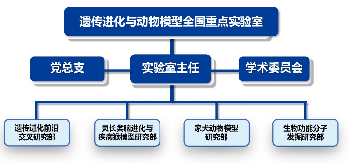 电子游戏app下载安装