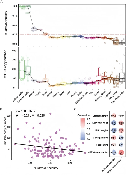 电子游戏app下载安装