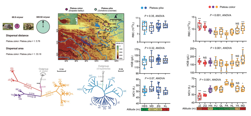 电子游戏app下载安装