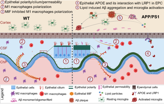 电子游戏app下载安装
