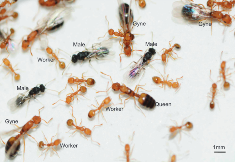 电子游戏app下载安装