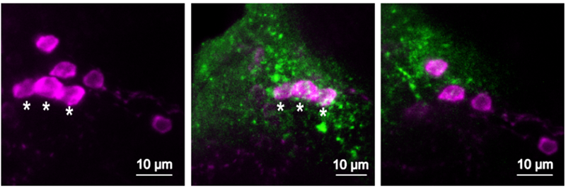 电子游戏app下载安装