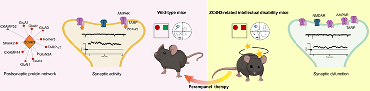 电子游戏app下载安装