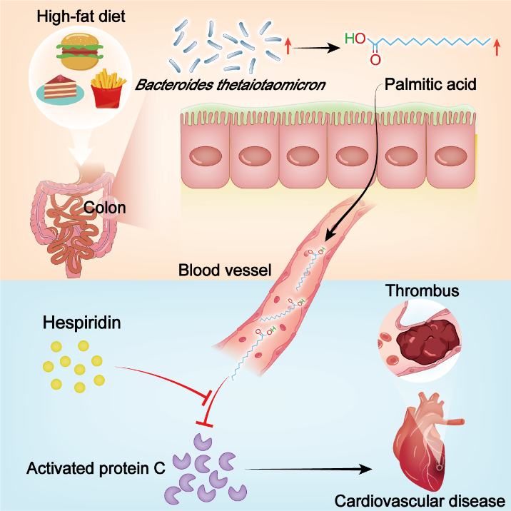 电子游戏app下载安装