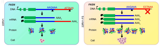 电子游戏app下载安装