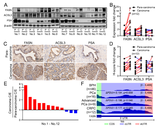 电子游戏app下载安装