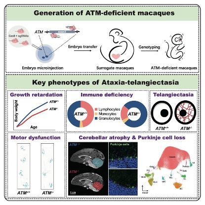 电子游戏app下载安装