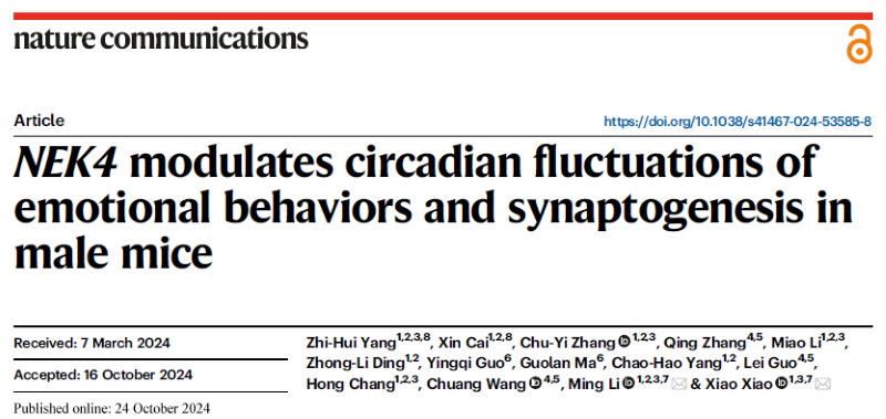 电子游戏app下载安装