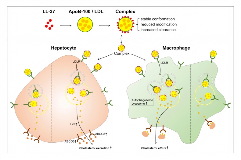 电子游戏app下载安装
