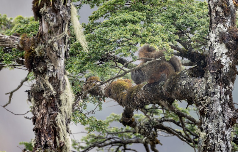 电子游戏app下载安装