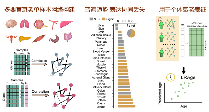 电子游戏app下载安装