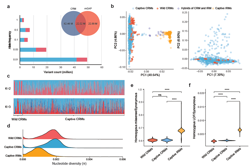 电子游戏app下载安装