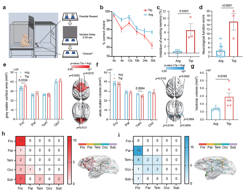 电子游戏app下载安装