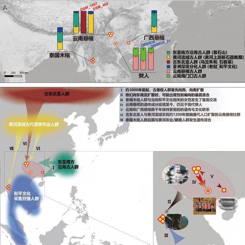电子游戏app下载安装