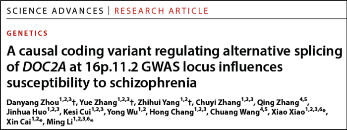 电子游戏app下载安装