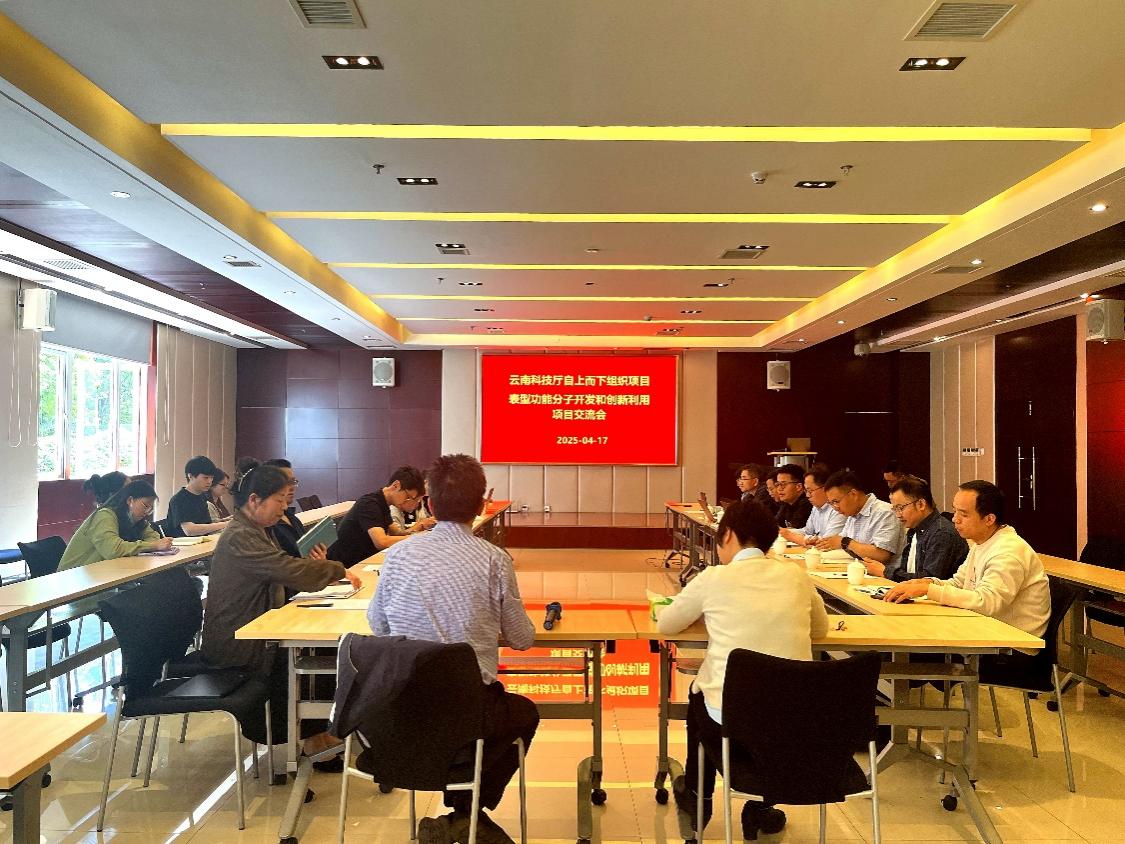 电子游戏app下载安装