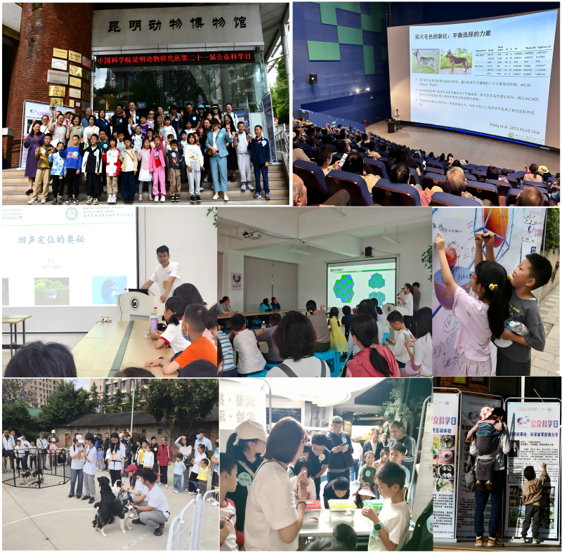 电子游戏app下载安装