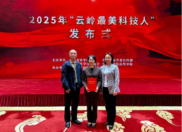 电子游戏app下载安装