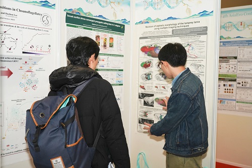 电子游戏app下载安装