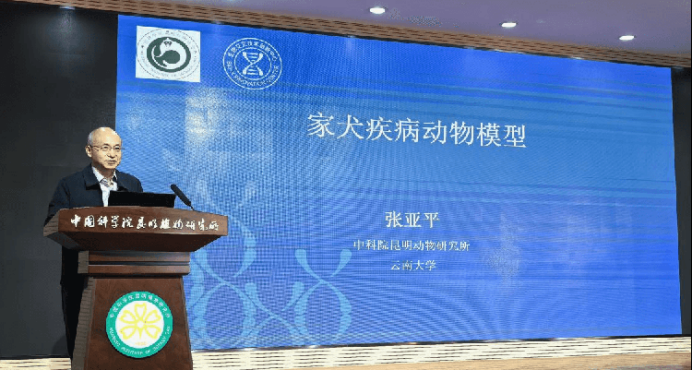 电子游戏app下载安装