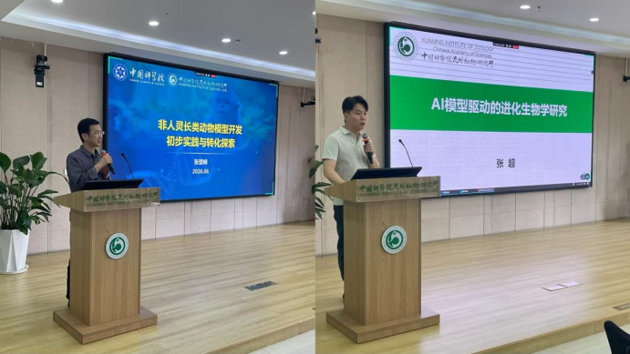 电子游戏app下载安装