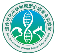 电子游戏app下载安装