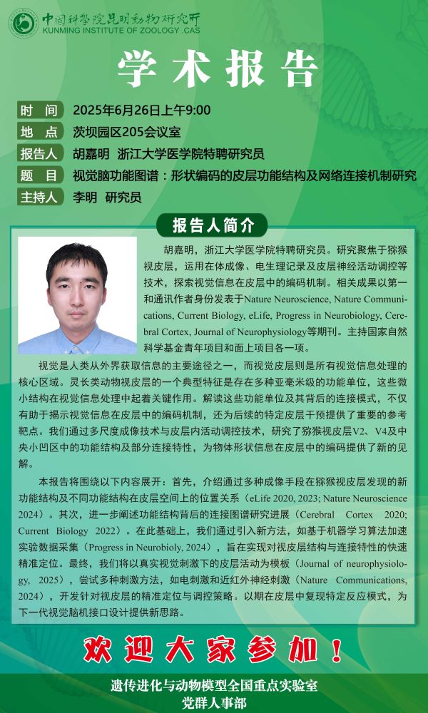 电子游戏app下载安装