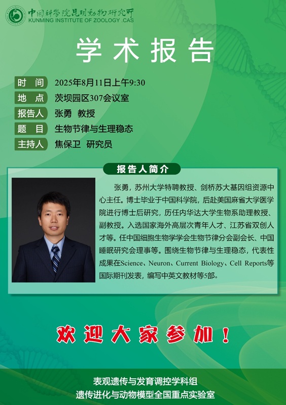 电子游戏app下载安装