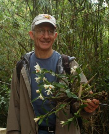 电子游戏app下载安装