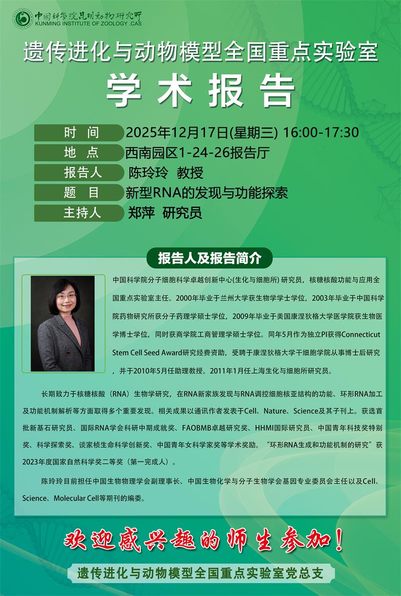 电子游戏app下载安装