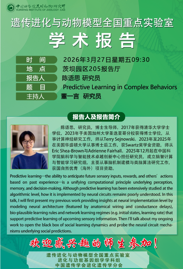 电子游戏app下载安装