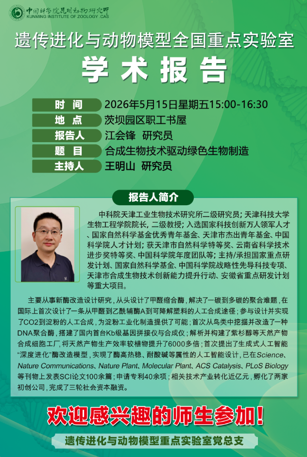 电子游戏app下载安装