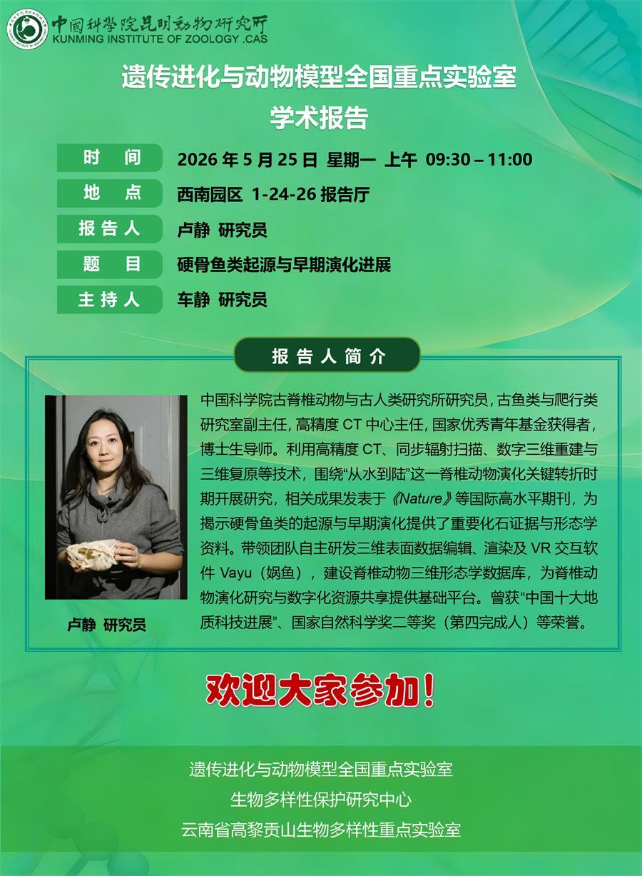 电子游戏app下载安装