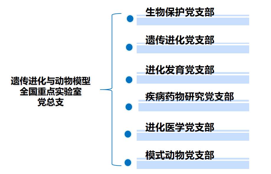 电子游戏app下载安装