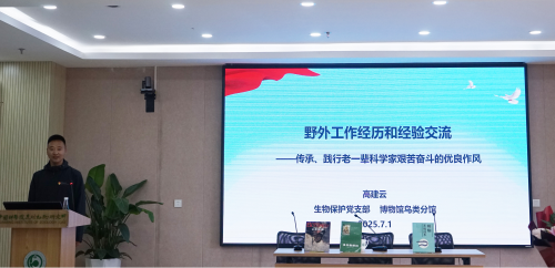 电子游戏app下载安装