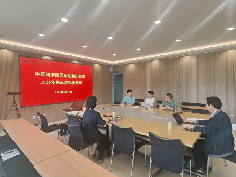 电子游戏app下载安装