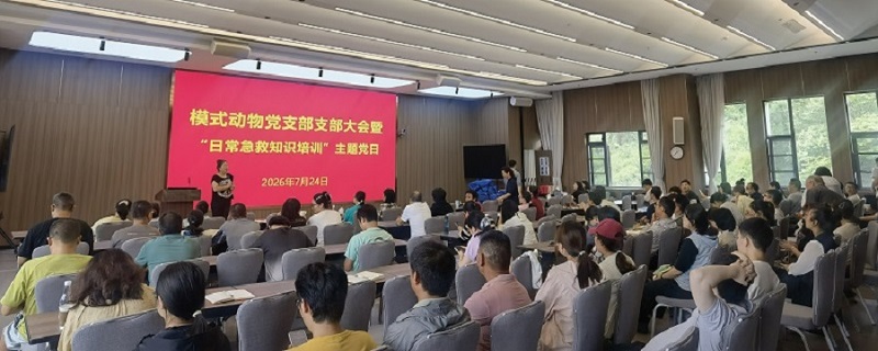 电子游戏app下载安装