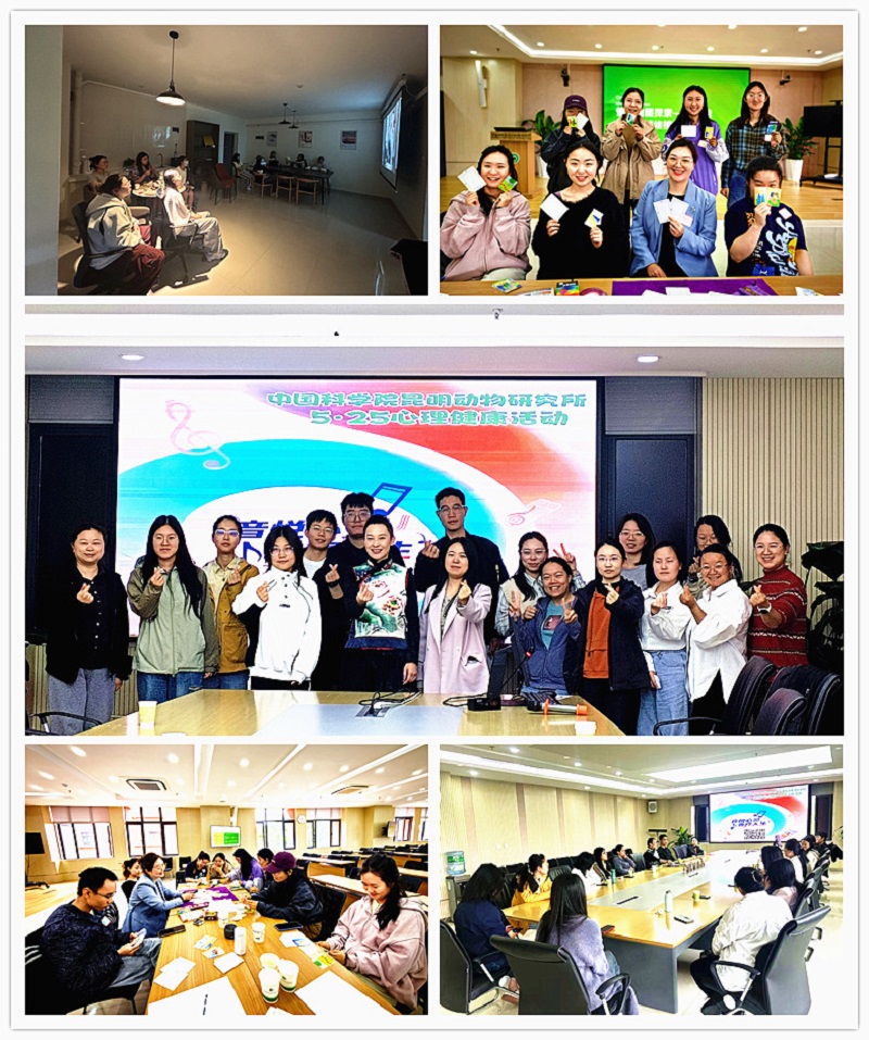 电子游戏app下载安装