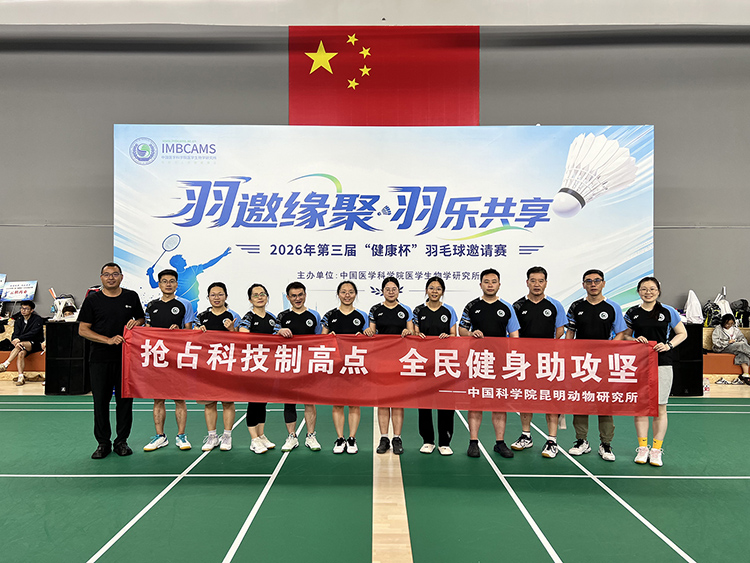 电子游戏app下载安装