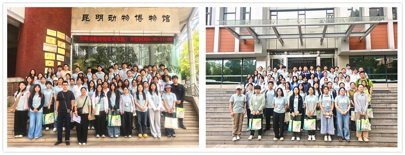 电子游戏app下载安装