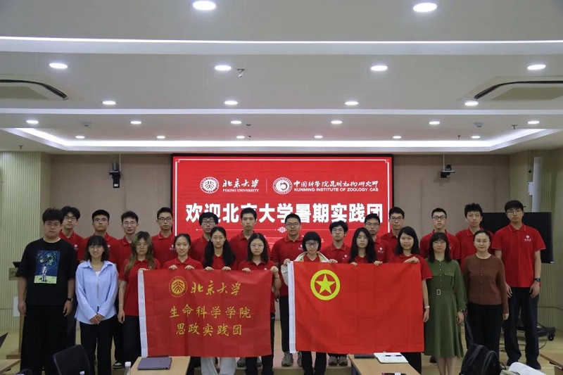电子游戏app下载安装