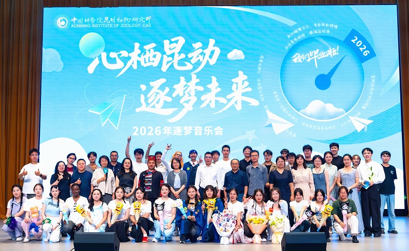 电子游戏app下载安装