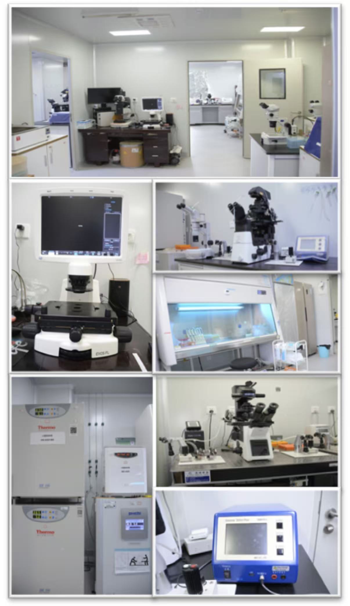 电子游戏app下载安装