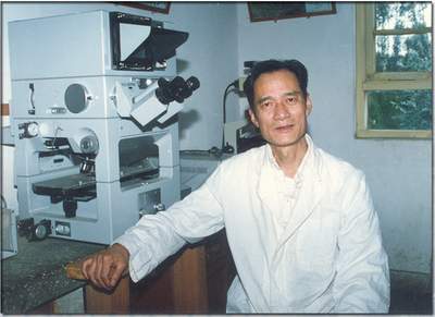 电子游戏app下载安装