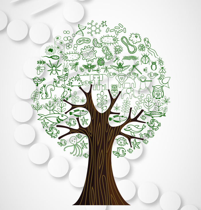 电子游戏app下载安装