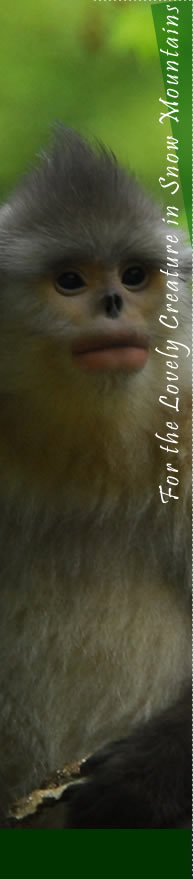 电子游戏app下载安装