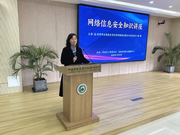 电子游戏app下载安装