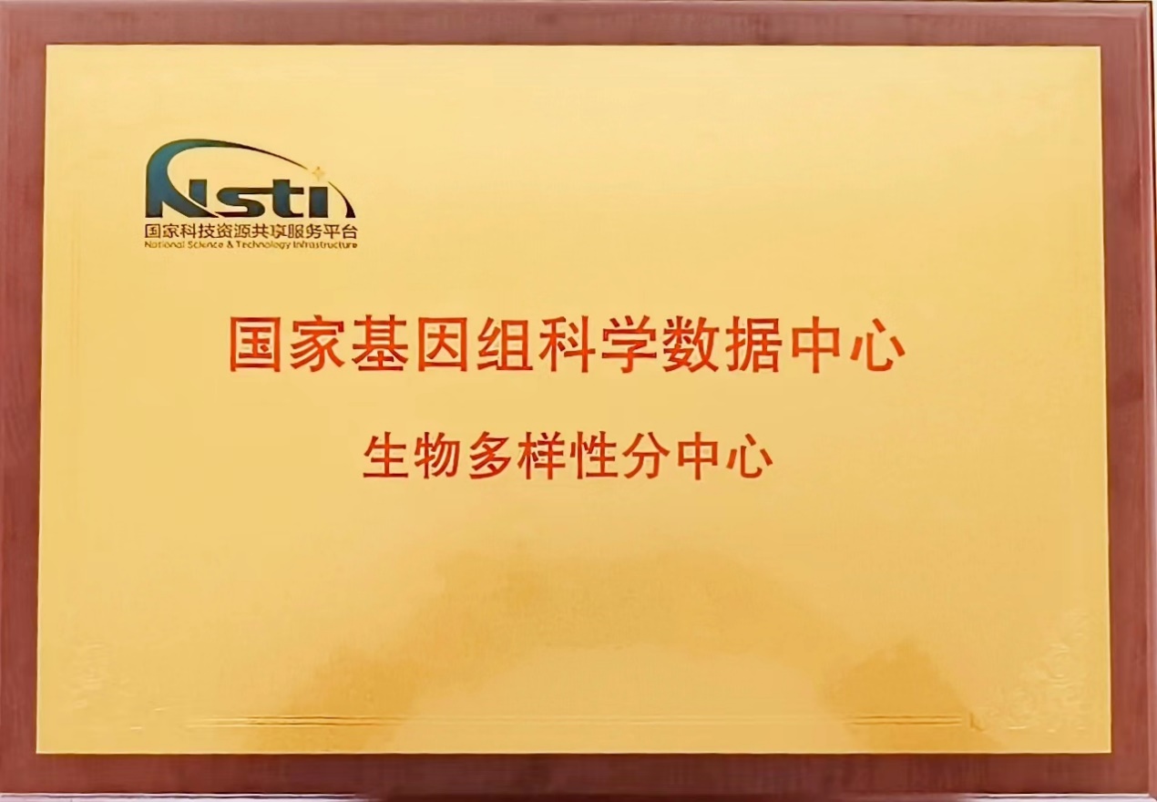 电子游戏app下载安装