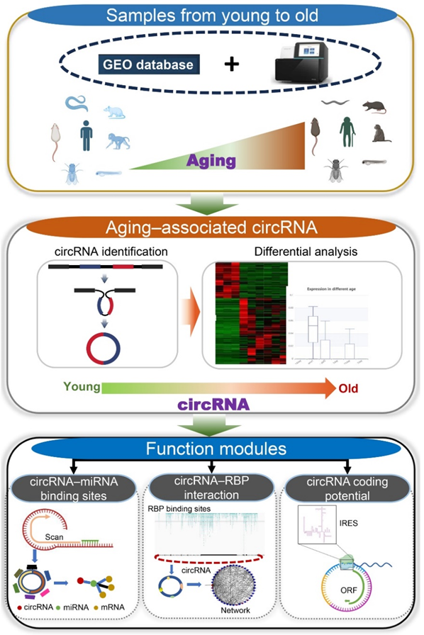电子游戏app下载安装
